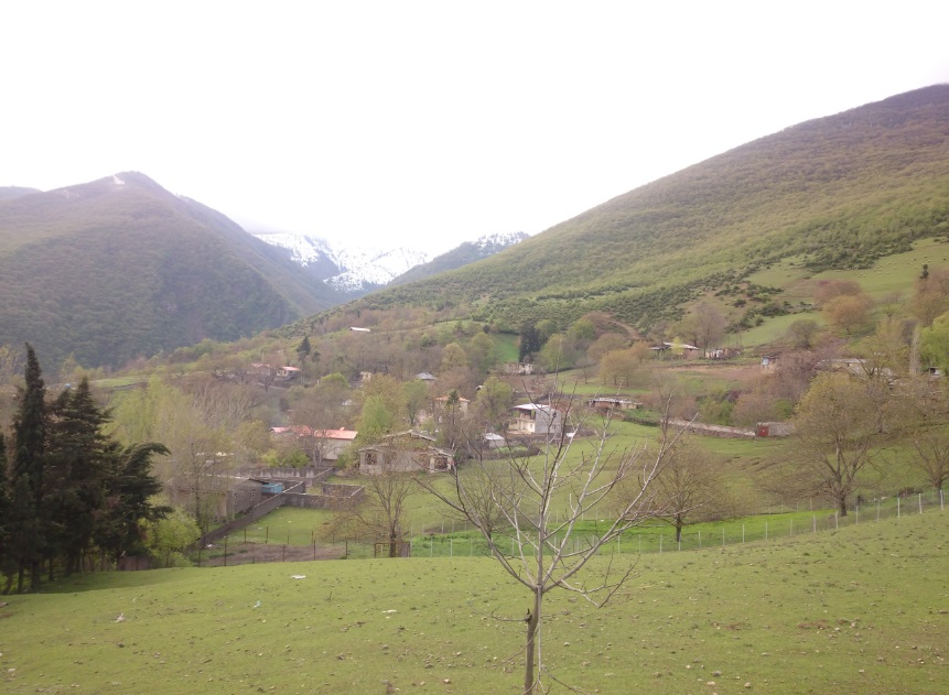 روستای شمام